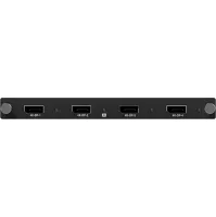 Digibird DB-AVCL-US-IC-4KDP4