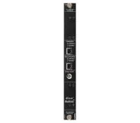 DiGiCo MOD-SDR-DANTE
